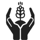 automated payroll